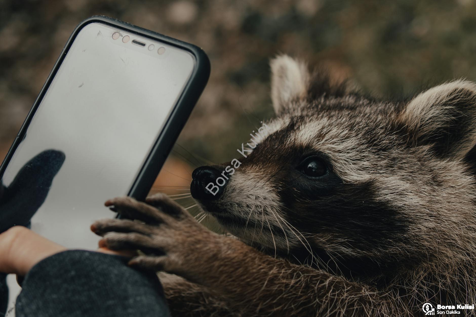 Kelime Ezberleme Sırları: Hızlı ve Etkili Yöntemler