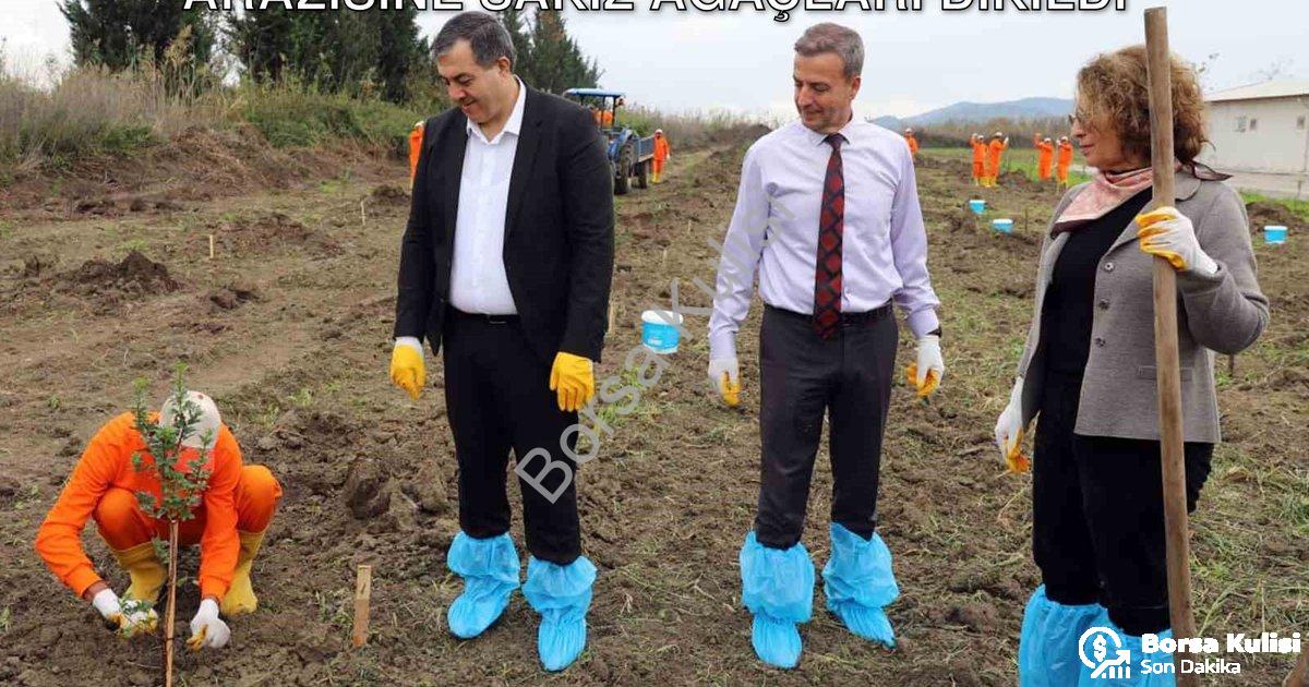 "Dalaman'da Tarım Hamlesi: Cezaevi Arazisine Sakız Ağaçları Dikildi" başlıklı haber için fotorealist