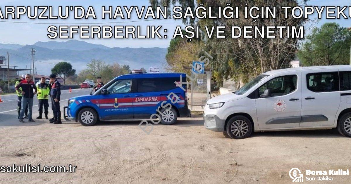 "Karpuzlu'da Hayvan Sağlığı İçin Topyekün Seferberlik: Aşı ve Denetim" başlıklı haber için fotoreali