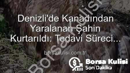 Denizli’de Kanadından Yaralanan Şahin Kurtarıldı: Tedavi Süreci Başladı
