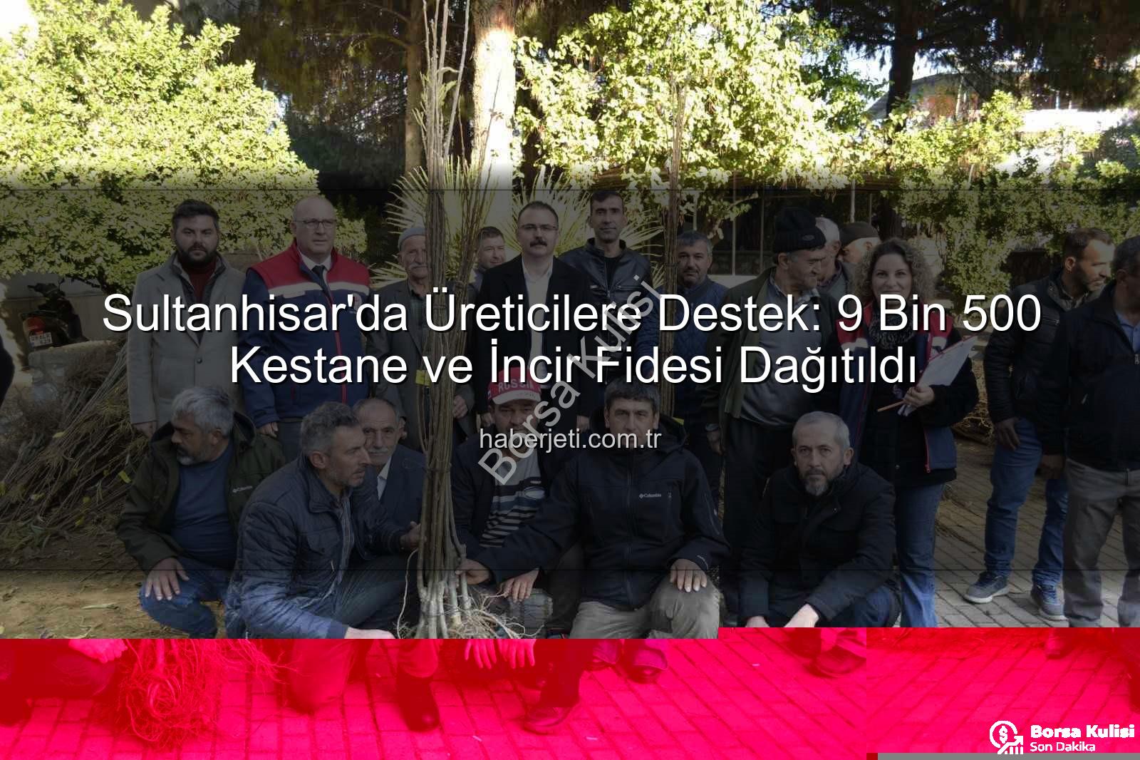 fidan dağıtımı - Sultanhisar'da Üreticilere Cömert Fidan Desteği: Kestane ve İncirde Yeni Dönem Başlıyor!