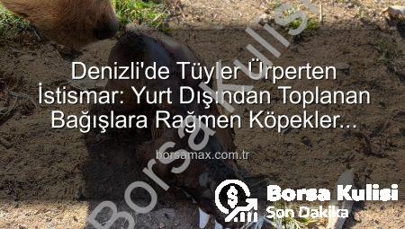 Denizli’de Tüyler Ürperten İstismar: Hayvan Sevgisi Maskesi Altında İşkence ve Kan Donduran Görüntüler