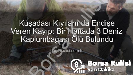 Kuşadası Kıyılarında Endişe Veren Kayıp: Bir Haftada 3 Deniz Kaplumbağası Ölü Bulundu
