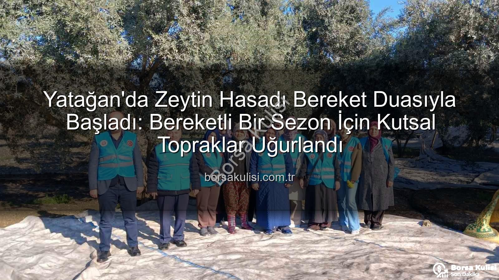 zeytin hasadı - Yatağan'da Zeytin Hasadı Bereket Duasıyla Başladı: Bereketli Bir Sezon İçin Kutsal Topraklar Uğurlandı