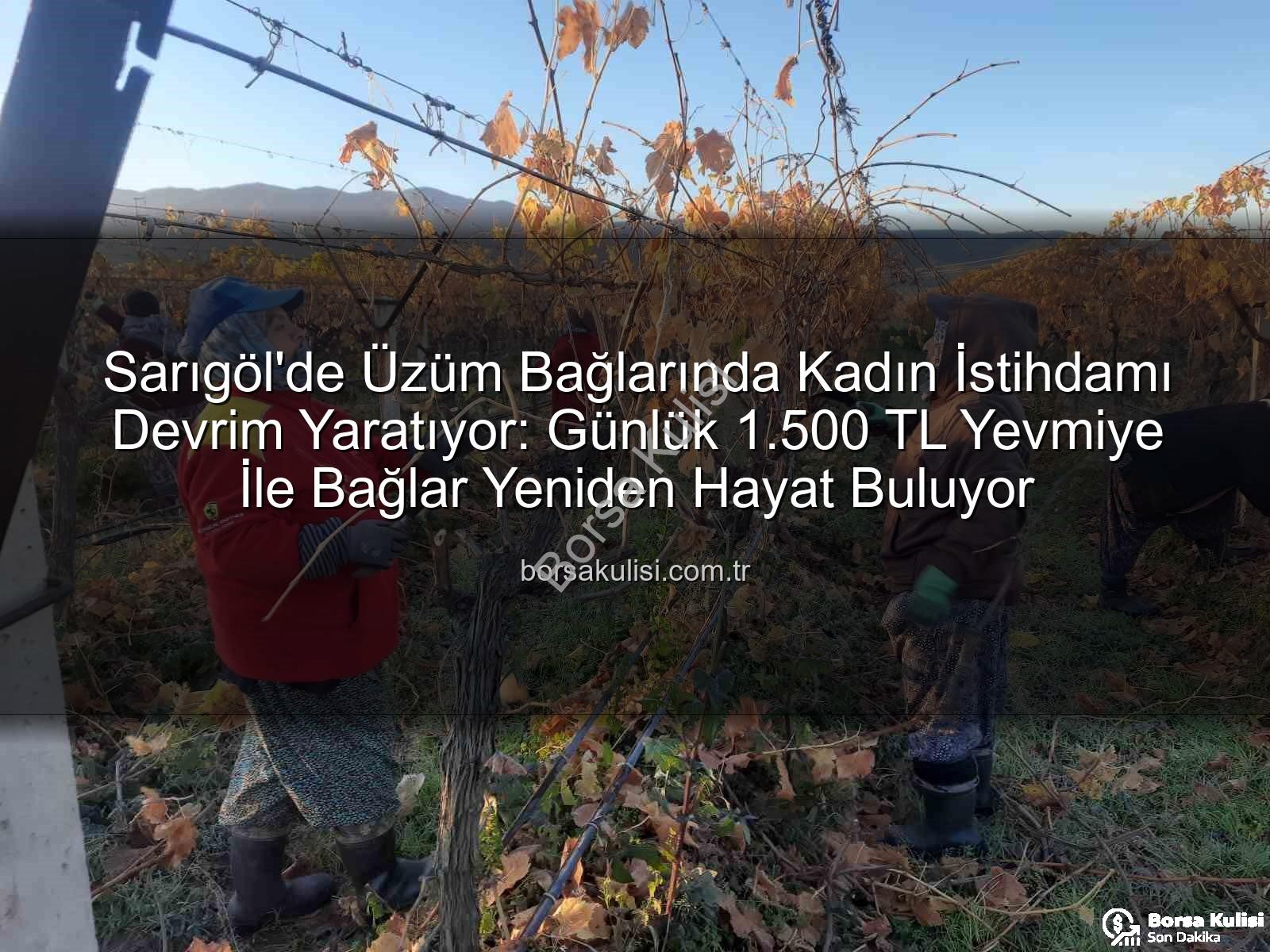 kadın istihdamı - Sarıgöl'de Üzüm Bağlarında Kadın İstihdamı Devrim Yaratıyor: Günlük 1.500 TL Yevmiye İle Bağlar Yeniden Hayat Buluyor