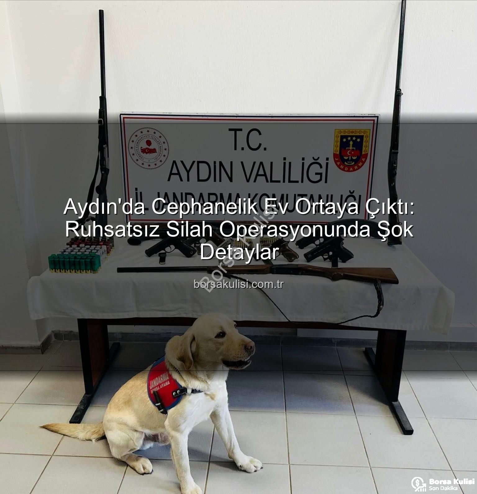 ruhsatsız silah operasyonu - Aydın'da Cephanelik Ev Ortaya Çıktı: Ruhsatsız Silah Operasyonunda Şok Detaylar