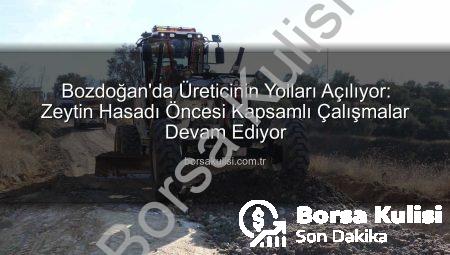 Bozdoğan’da Üreticinin Yolları Açılıyor: Zeytin Hasadı Öncesi Kapsamlı Çalışmalar Devam Ediyor