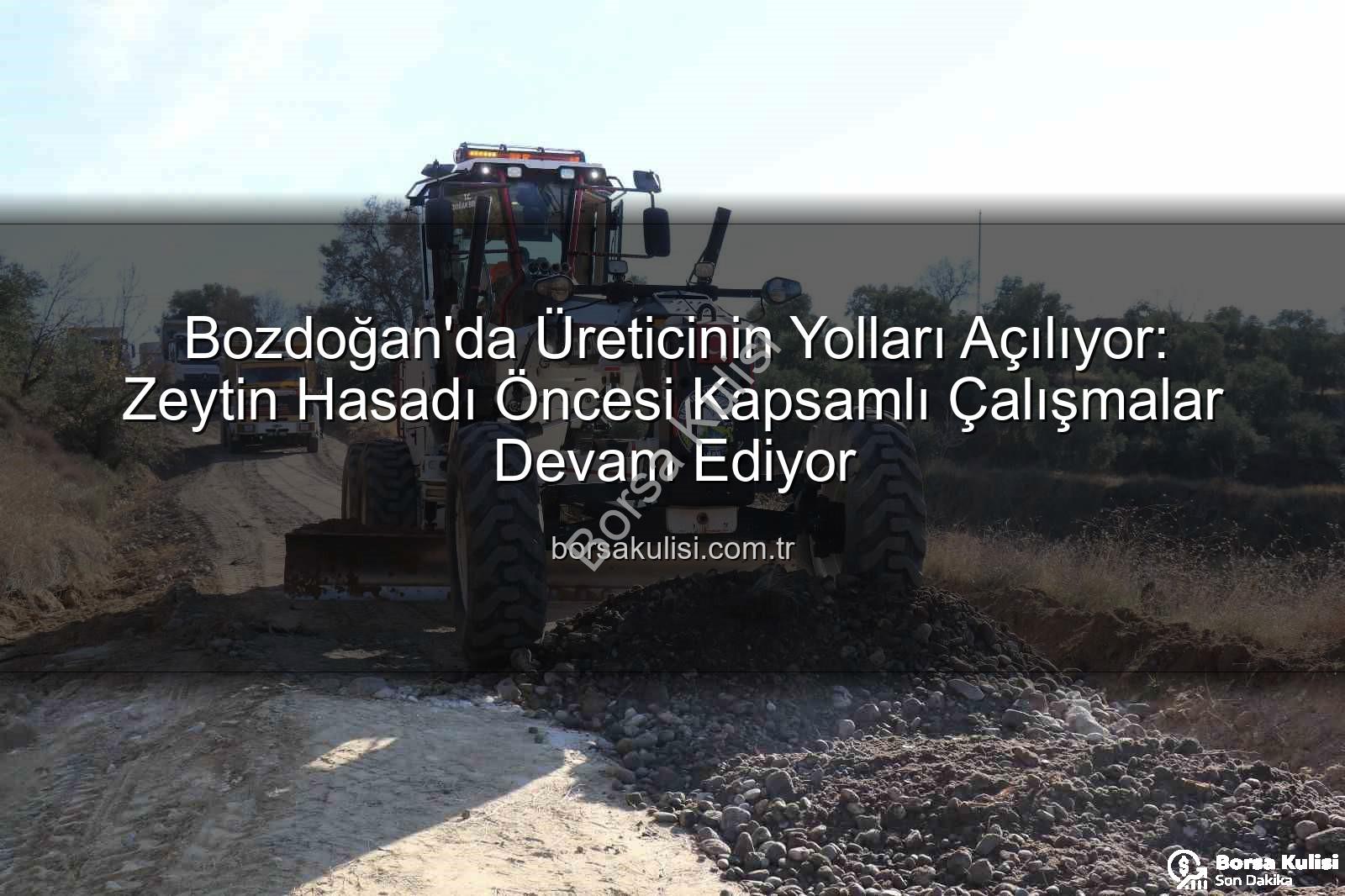 Bozdoğan yol çalışmaları - Bozdoğan'da Üreticinin Yolları Açılıyor: Zeytin Hasadı Öncesi Kapsamlı Çalışmalar Devam Ediyor