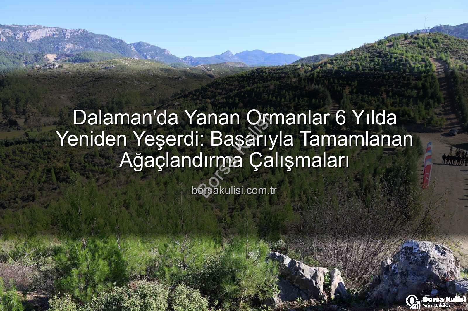 dalaman yanan ormanlar - Dalaman'da Yanan Ormanlar 6 Yılda Yeniden Yeşerdi: Başarıyla Tamamlanan Ağaçlandırma Çalışmaları